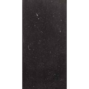 Vloertegel Imola Genus 30x60 cm nero 1,08 M2
