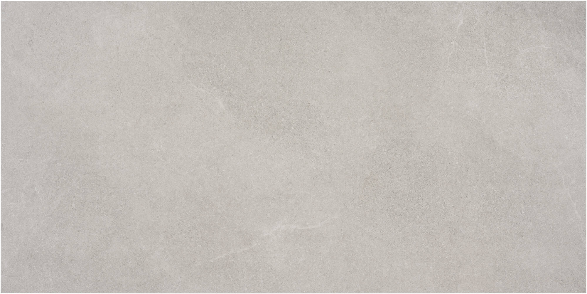 Saqu Vloer- wandtegel Neutral Design Collection 120x60cm silver mat gerectificeerd